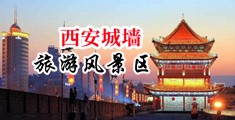 女的拿马的鸡巴插逼中国陕西-西安城墙旅游风景区